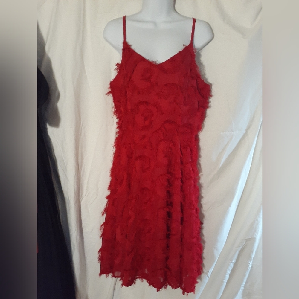 Red Feather Cocktail Dress